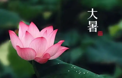 今日大暑：夏正濃，注意養生