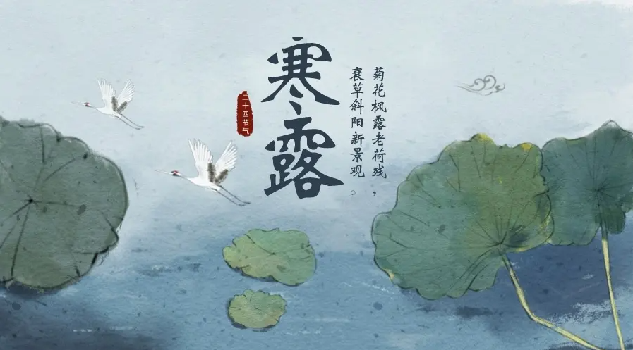 寒露 | 已然深秋