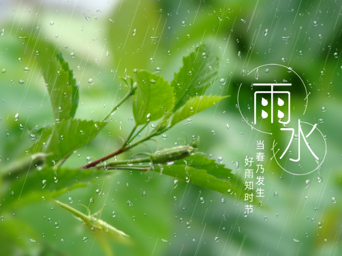 二十四節(jié)氣 | 今日雨水